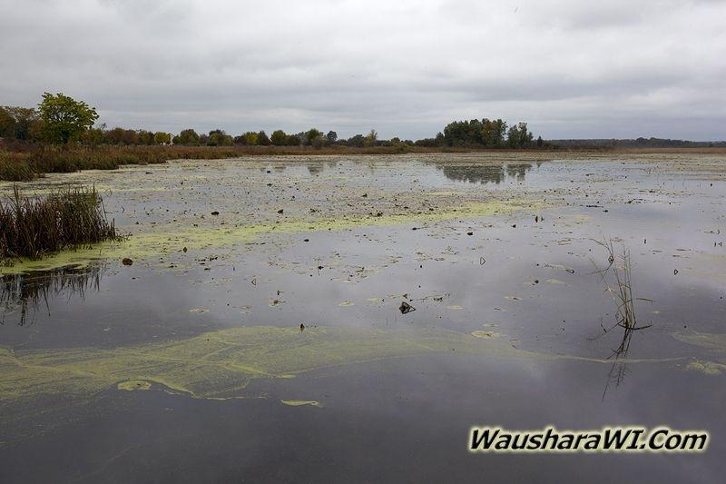 D 800X533 IMG 0905 D 800X533 IMG 0905