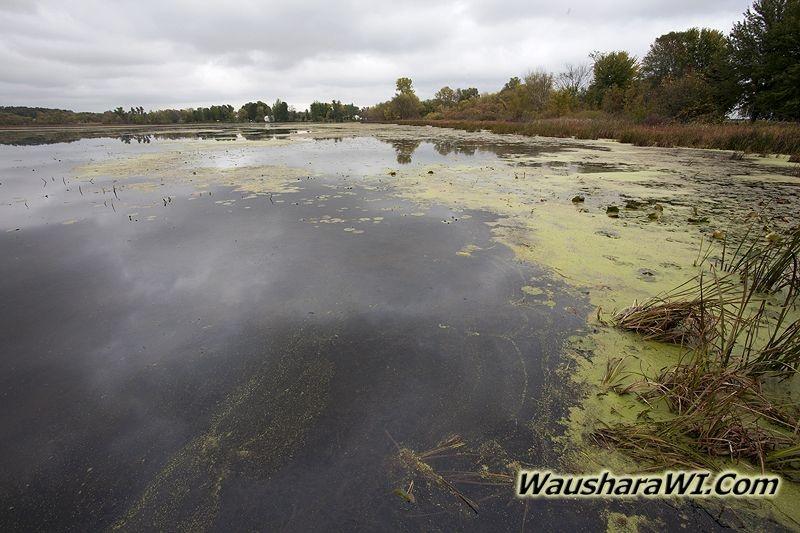 D 800X533 IMG 0907 D 800X533 IMG 0907