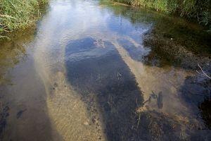 Big Roche-A-Cri Creek