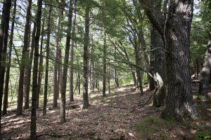 Waushara County Wisconsin