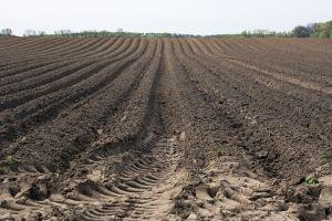 Plainfield Township WI