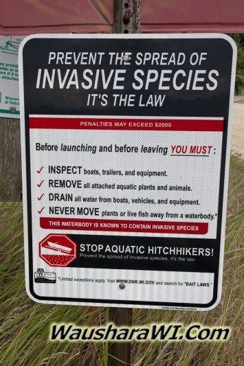 Invasive Species Invasive Species