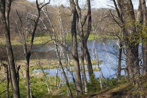 Mecan Lake Wisconsin