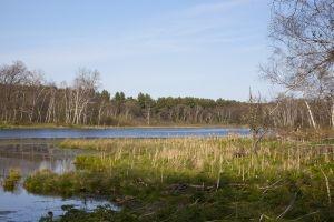 Waterfowl Area