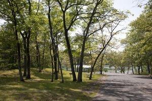 Wisconsin Public Land