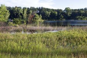 Central Wisconsin Lake