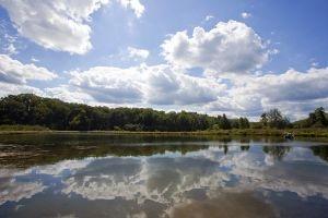 Mecan River Headwaters