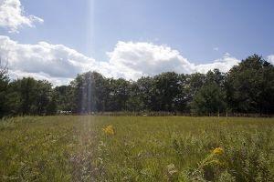 Wisconsin Hunting Land