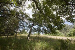 Wisconsin Public Land