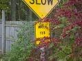 Slow Watch for Children 