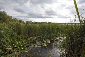 Hancock Lake Wisconsin