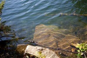 Clear Wisconsin Water