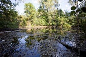 Wisconsin Public Land