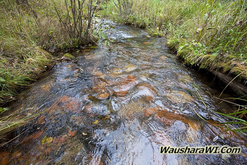 Wisconsin Trout Streams Wisconsin Trout Streams