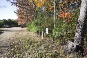 Pine River Fishery System