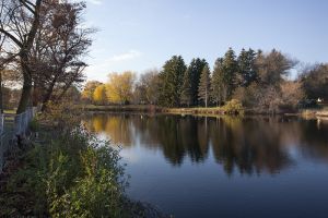 Pine River Trout Stream
