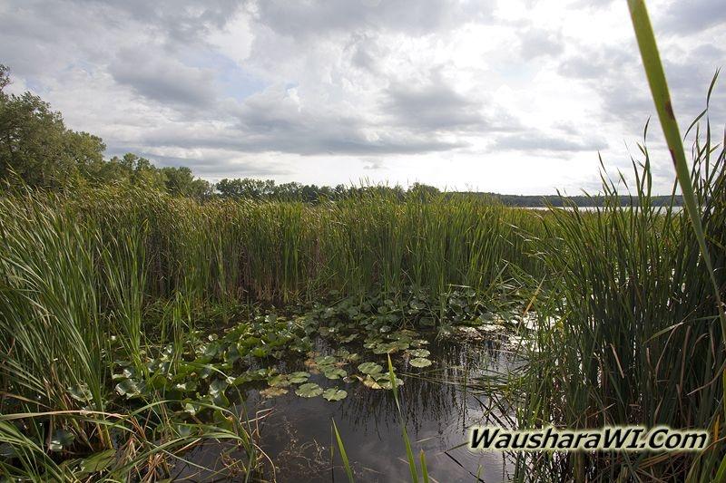 Pine Lake Hancock Pictures