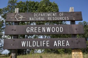 WI DNR Greenwood Wildlife Area