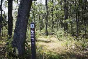 Waushara County Hiking Trails