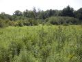 Central Wisconsin Hunting Acreage