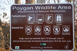 Poygan Marsh Wildlife Area Pictures