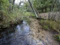Cedar Springs Creek Trout Stream