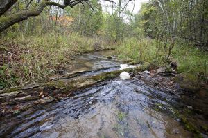 Cedar Springs Creek Class Trout Stream