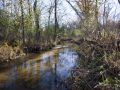 Central Wisconsin Trout Stream