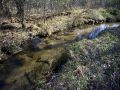 Waushara County Trout Stream