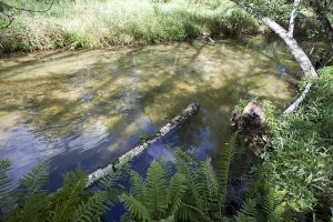 Waushara County Trout Streams