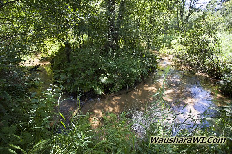 Wedde Creek WI