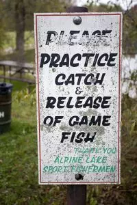 Practice Catch & Release