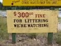 Fine for Littering