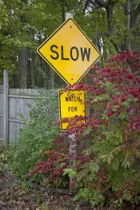 Slow Watch for Children 