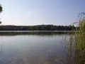 Witter Lake Wisconsin