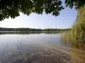 Waushara County Lakes - Witter Lake